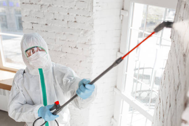 Best Comprehensive Air Testing for Mold Contaminants  in Worcester, MA