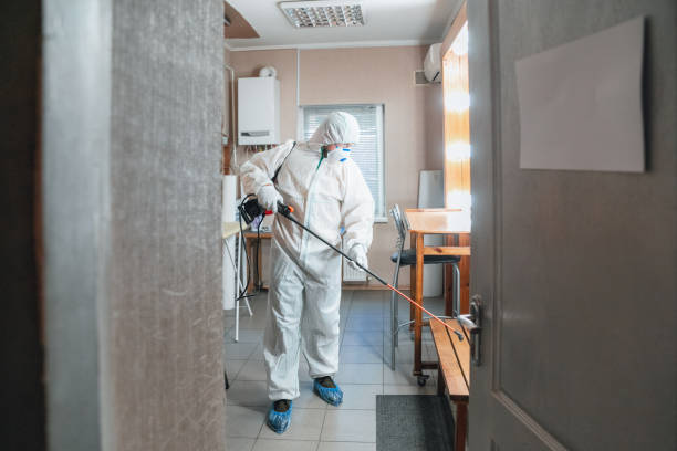 Best Indoor Air Quality Assessment  in Worcester, MA