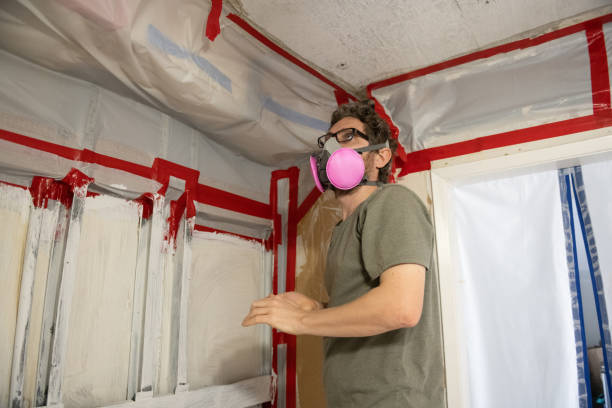 Best Air Quality Testing for Mold Spores  in Worcester, MA