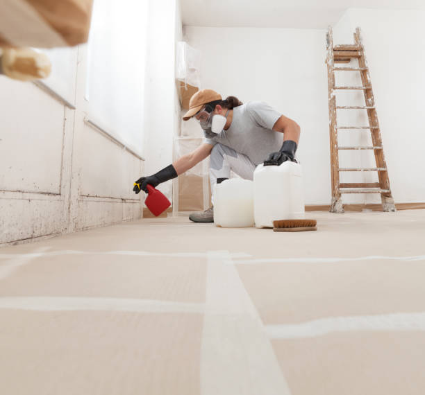Best Attic Mold Removal  in Worcester, MA
