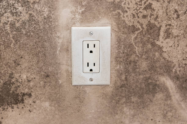 Best Mold Odor Removal Services  in Worcester, MA