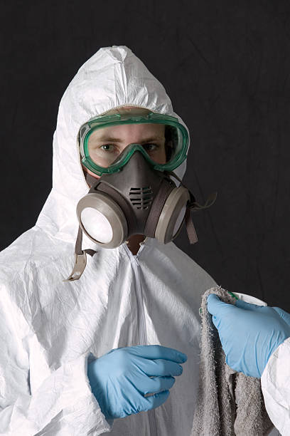Best Emergency Mold Remediation  in Worcester, MA